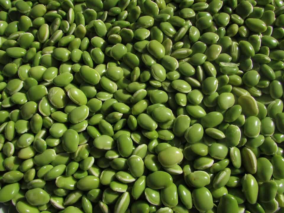 Bravo Green Beans