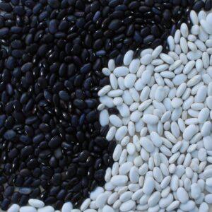 Black Bean Dip