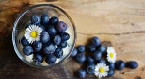 Blueberry Butter
