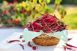 Red Pepper–Garlic Jelly