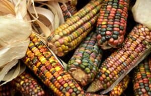 Corn Salsa