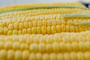Cheesy Corn On The Cob