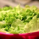 Green Leaf Salad With Bleu Cheese Dressing