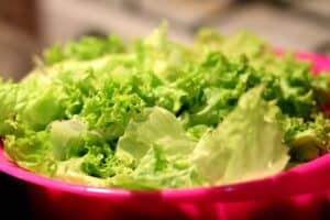 Green Leaf Salad With Bleu Cheese Dressing