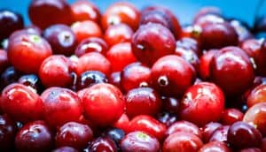 Cranberry-Orange Crumble Bars