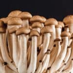 Easy Spinach Stuffed Mushrooms