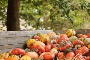 Spiced Pumpkin Butter