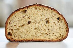 Whole Wheat Bread
